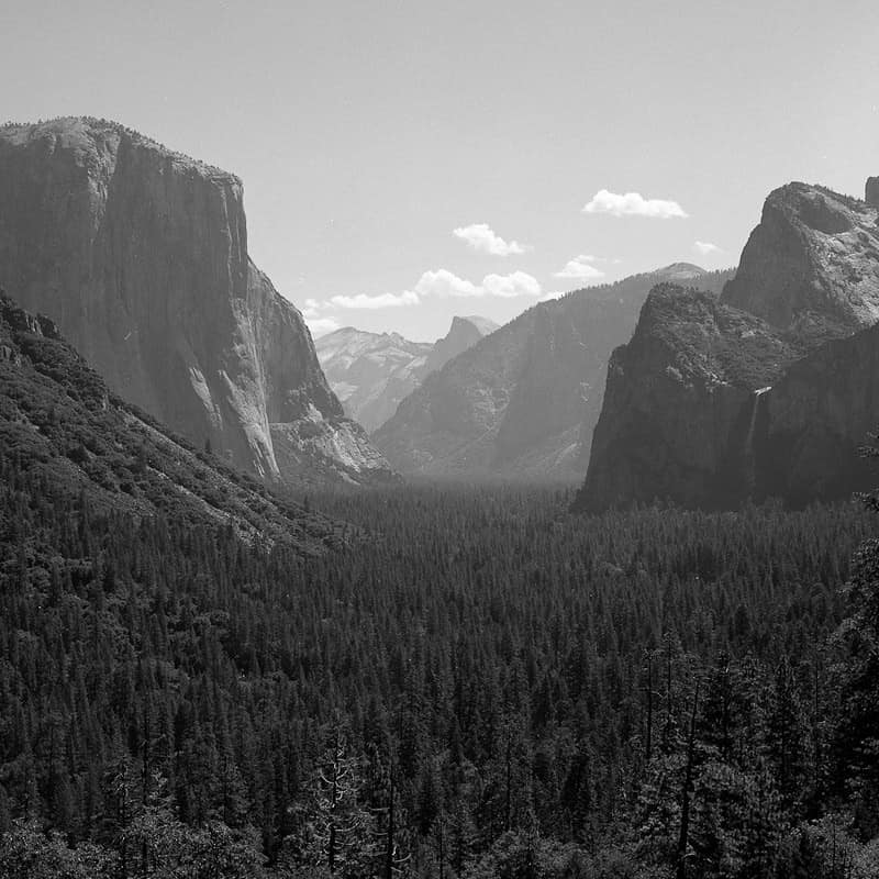 Yosemite National Park